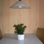 ref_innen_tapeten_031