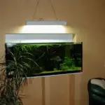 ref_innen_tapeten_032